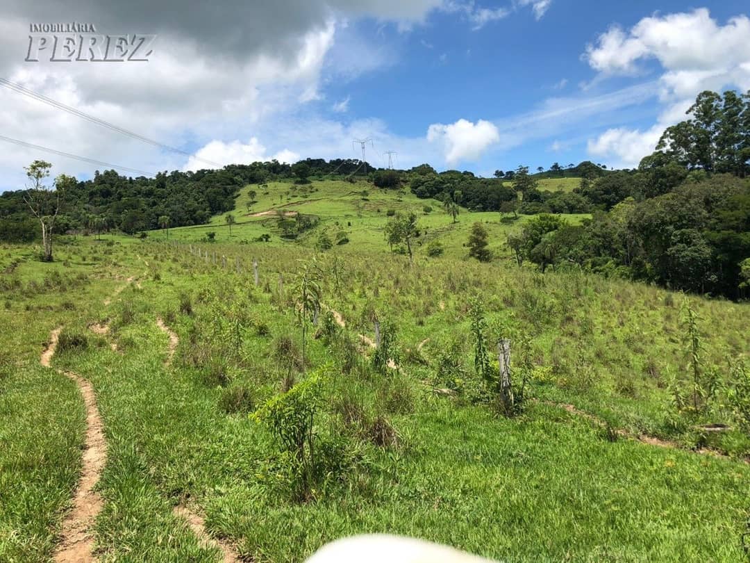 Imóveis Rurais, de 1 quarto à venda no Marumbi - Faxinal/PR - Foto 1
