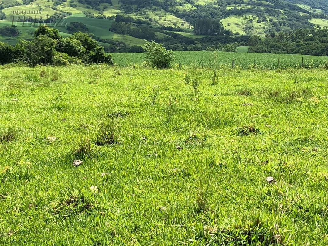 Imóveis Rurais, de 1 quarto à venda no Marumbi - Faxinal/PR - Foto 2