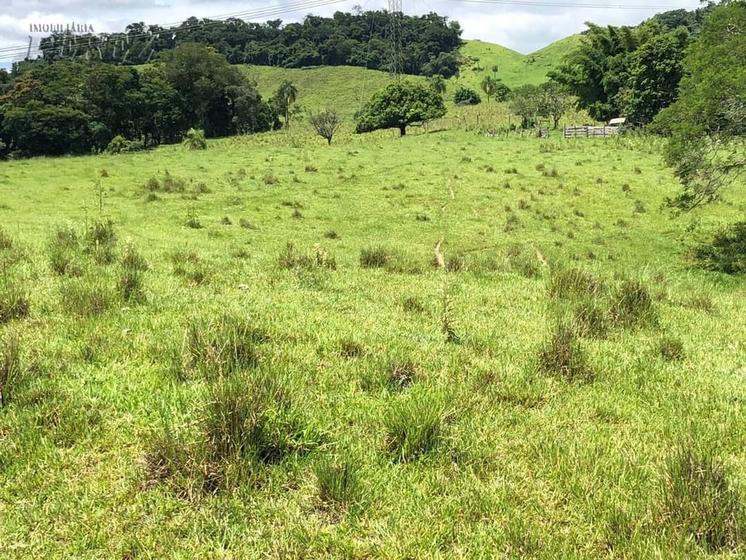 Imóveis Rurais, de 1 quarto à venda no Marumbi - Faxinal/PR - Foto 3