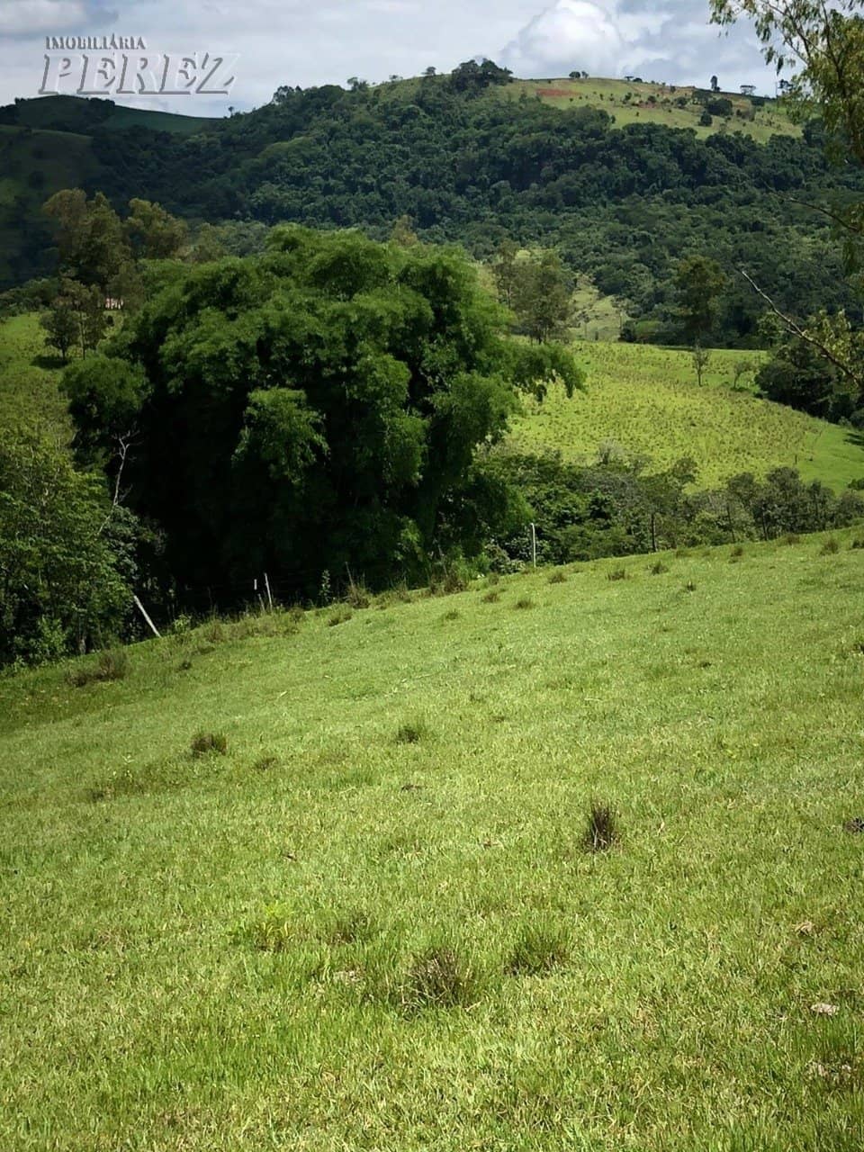Imóveis Rurais, de 1 quarto à venda no Marumbi - Faxinal/PR - Foto 4