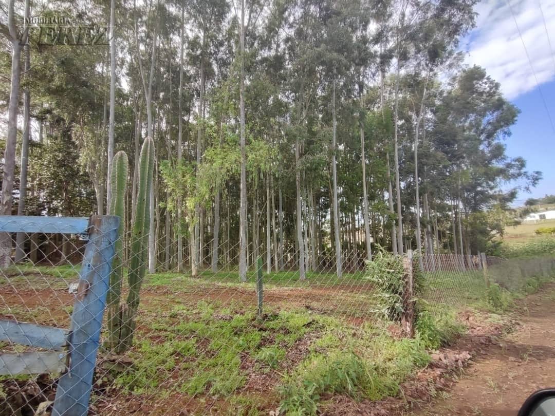 Terrenos no Recanto Beija Flor à venda no Maravilha - Maravilha (Londrina)/PR - Foto 2