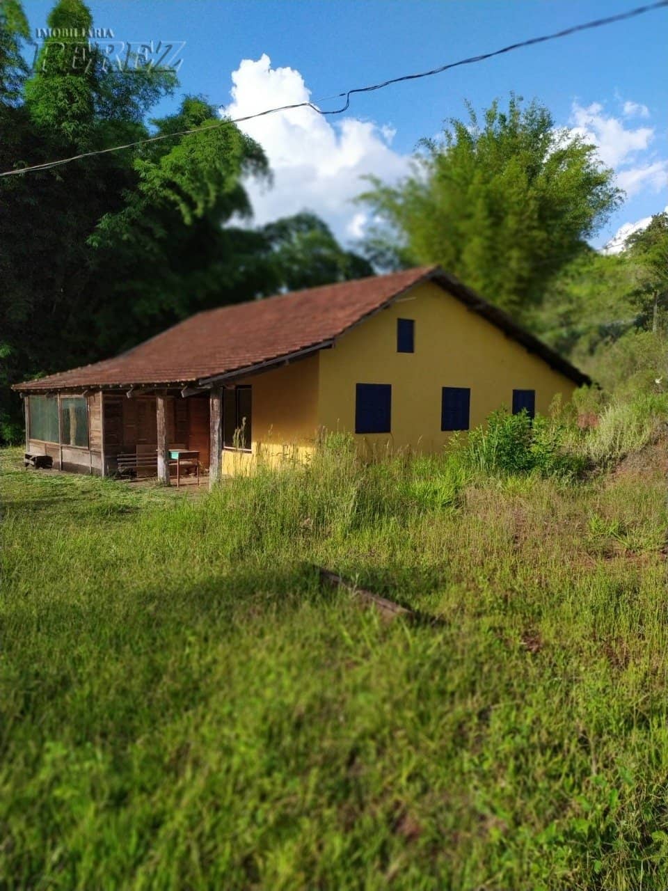 Imóveis Rurais no Chacara Walden, de 3 quartos, 230 m² à venda no Area Rural - São Luiz (Londrina)/PR - Foto 0
