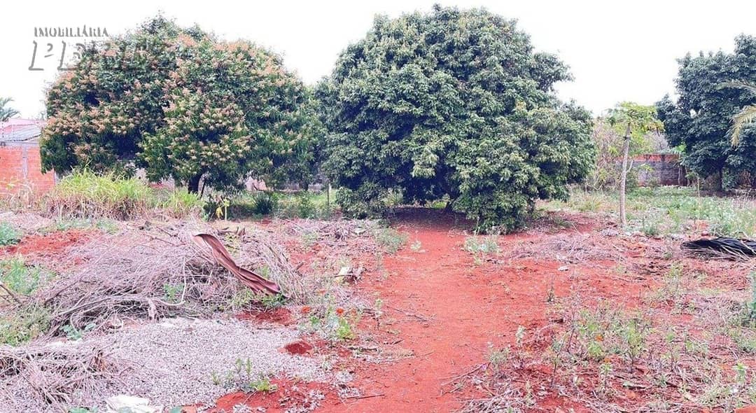 Terrenos à venda no Vila Oliveira - Rolândia/PR - Foto 1