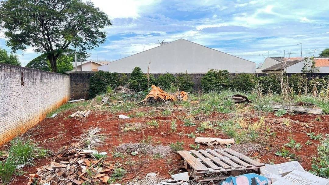 Terrenos à venda no Vila Oliveira - Rolândia/PR - Foto 2