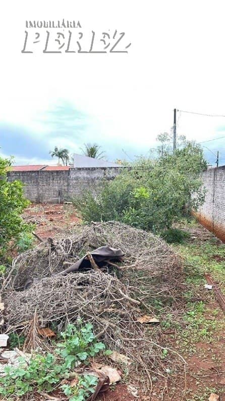 Terrenos à venda no Vila Oliveira - Rolândia/PR - Foto 3