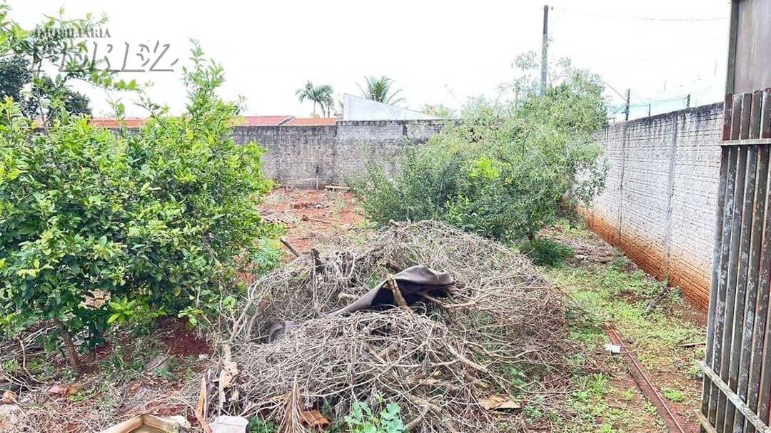 Terrenos à venda no Vila Oliveira - Rolândia/PR - Foto 4