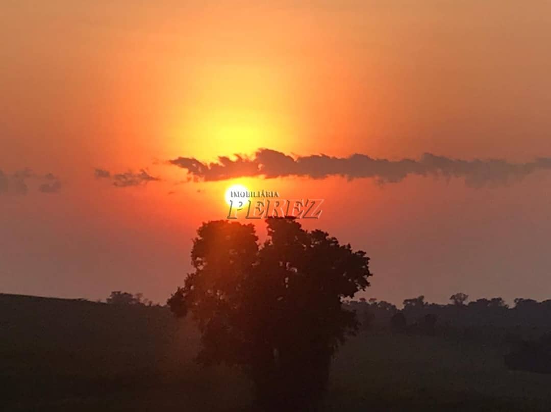Sítio a venda na  Estrada Coronel Santos, Guairacá Londrina. - Foto 3