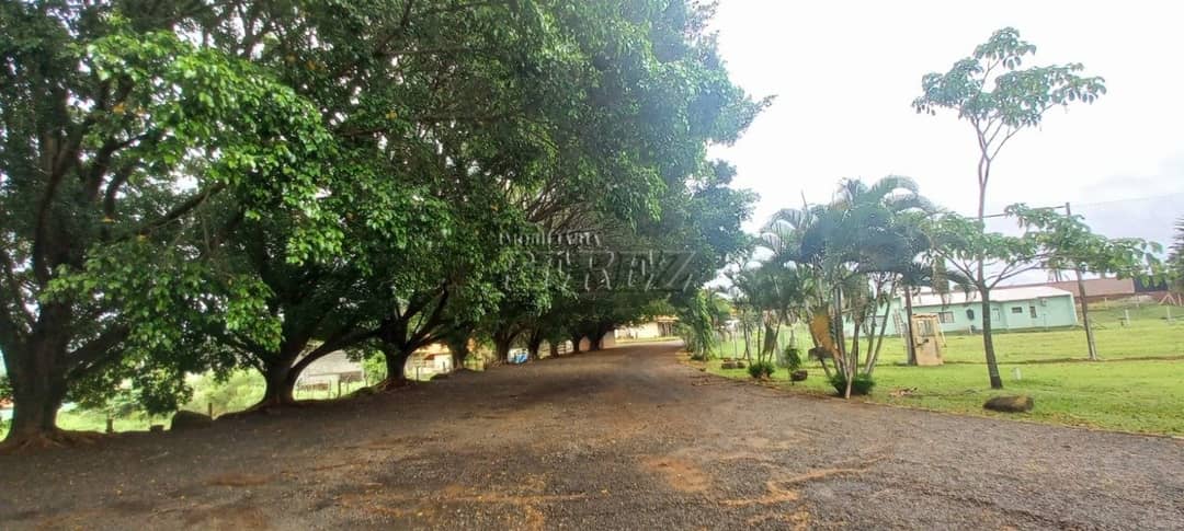 Imóveis Rurais, de 5 quartos, 1000 m² para alugar no Limoeiro - Londrina/PR - Foto 3