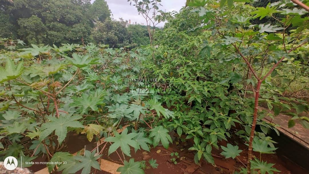Terrenos à venda no Panorama - Londrina/PR - Foto 2