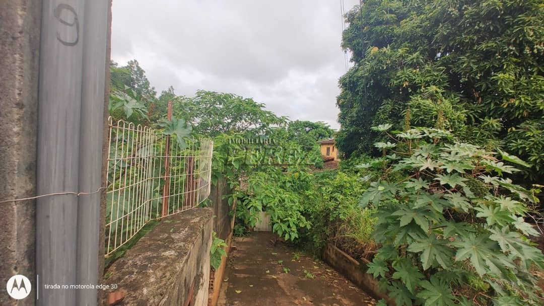Terrenos à venda no Panorama - Londrina/PR - Foto 3