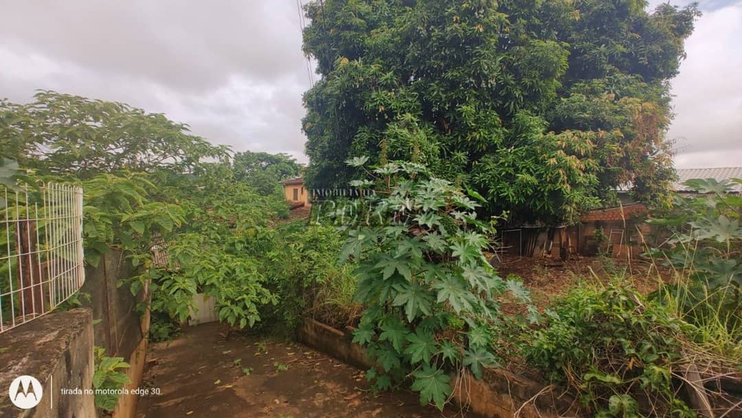 Terrenos à venda no Panorama - Londrina/PR - Foto 4