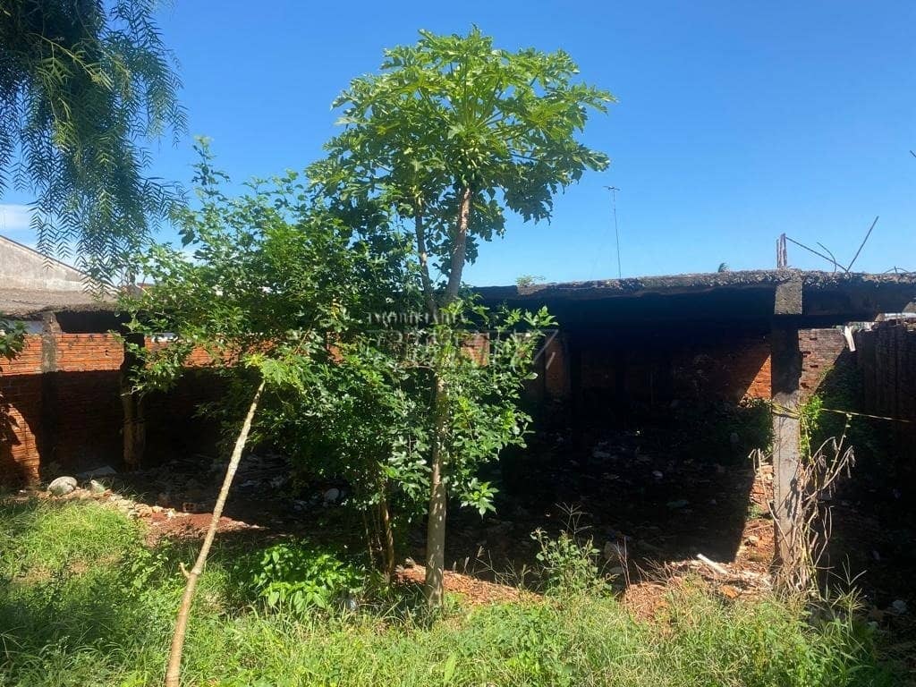 Terrenos à venda no Ricardo - Londrina/PR - Foto 3