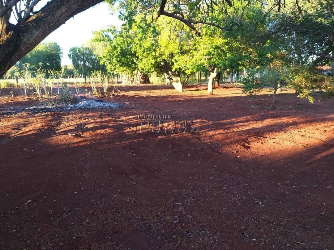Imóveis Rurais no Estancia Favoreto, de 1 quarto à venda no Area Rural - Sertanópolis/PR - Foto 2