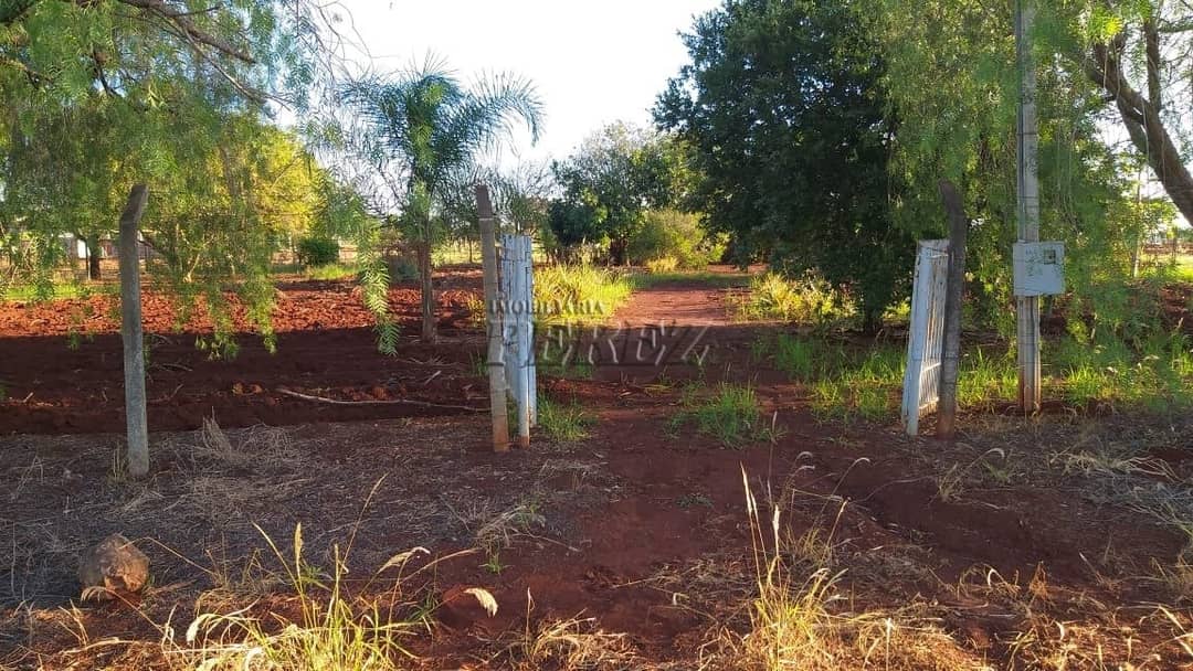 Imóveis Rurais no Estancia Favoreto, de 1 quarto à venda no Area Rural - Sertanópolis/PR - Foto 4