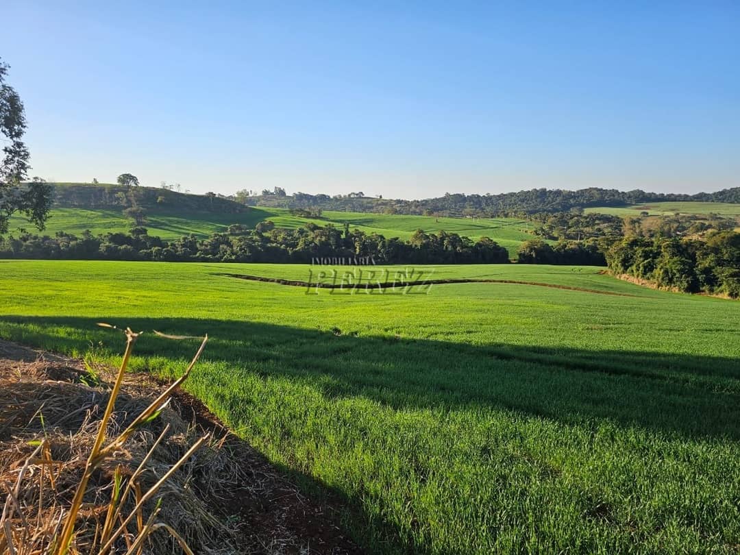 Imóveis Rurais no Fazenda Boa Saúde, de 1 quarto, 200 m² à venda no Area Rural - Paiquerê (Londrina)/PR - Foto 0