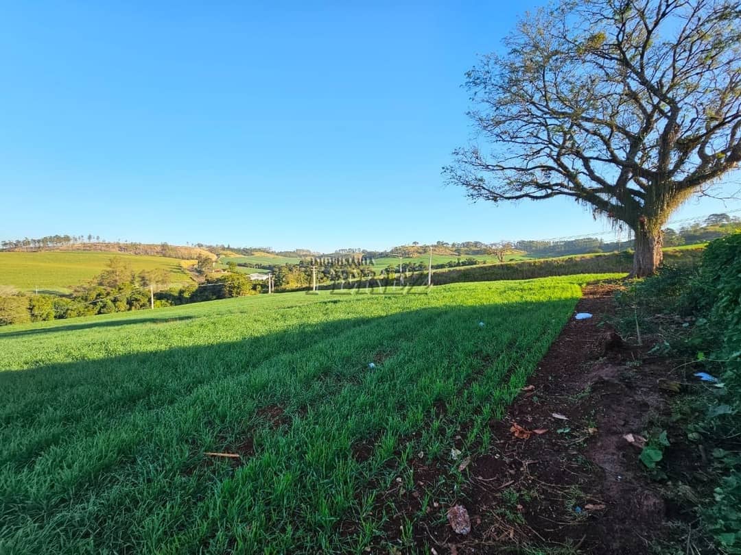 Imóveis Rurais no Fazenda Boa Saúde, de 1 quarto, 200 m² à venda no Area Rural - Paiquerê (Londrina)/PR - Foto 3