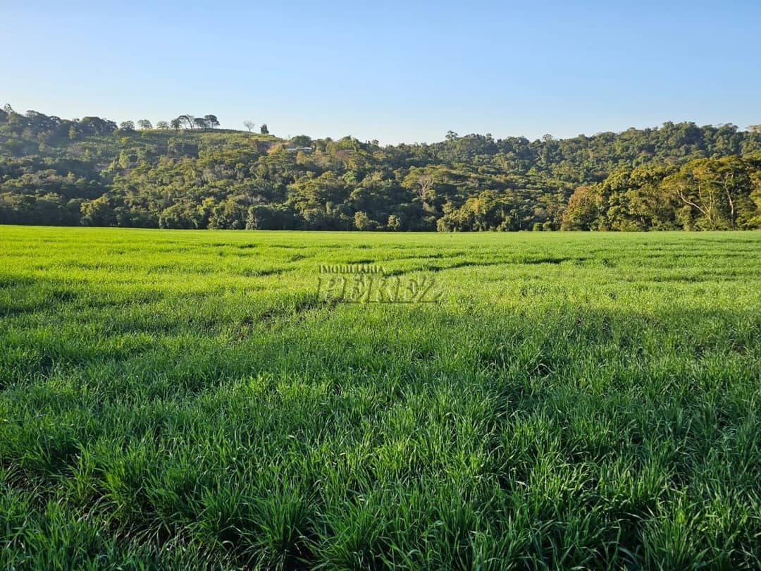 Imóveis Rurais no Fazenda Boa Saúde, de 1 quarto, 200 m² à venda no Area Rural - Paiquerê (Londrina)/PR - Foto 1