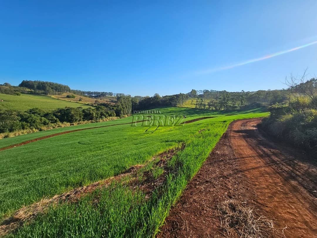 Imóveis Rurais no Fazenda Boa Saúde, de 1 quarto, 200 m² à venda no Area Rural - Paiquerê (Londrina)/PR - Foto 2