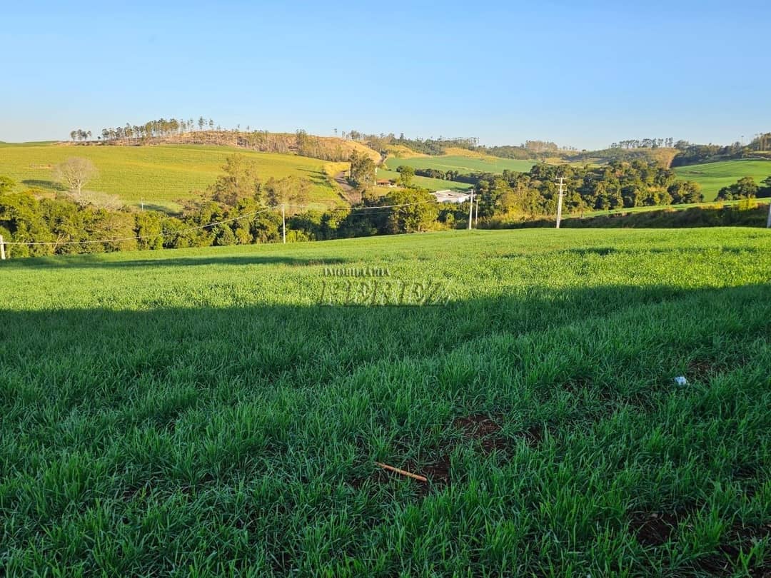 Imóveis Rurais no Fazenda Boa Saúde, de 1 quarto, 200 m² à venda no Area Rural - Paiquerê (Londrina)/PR - Foto 4
