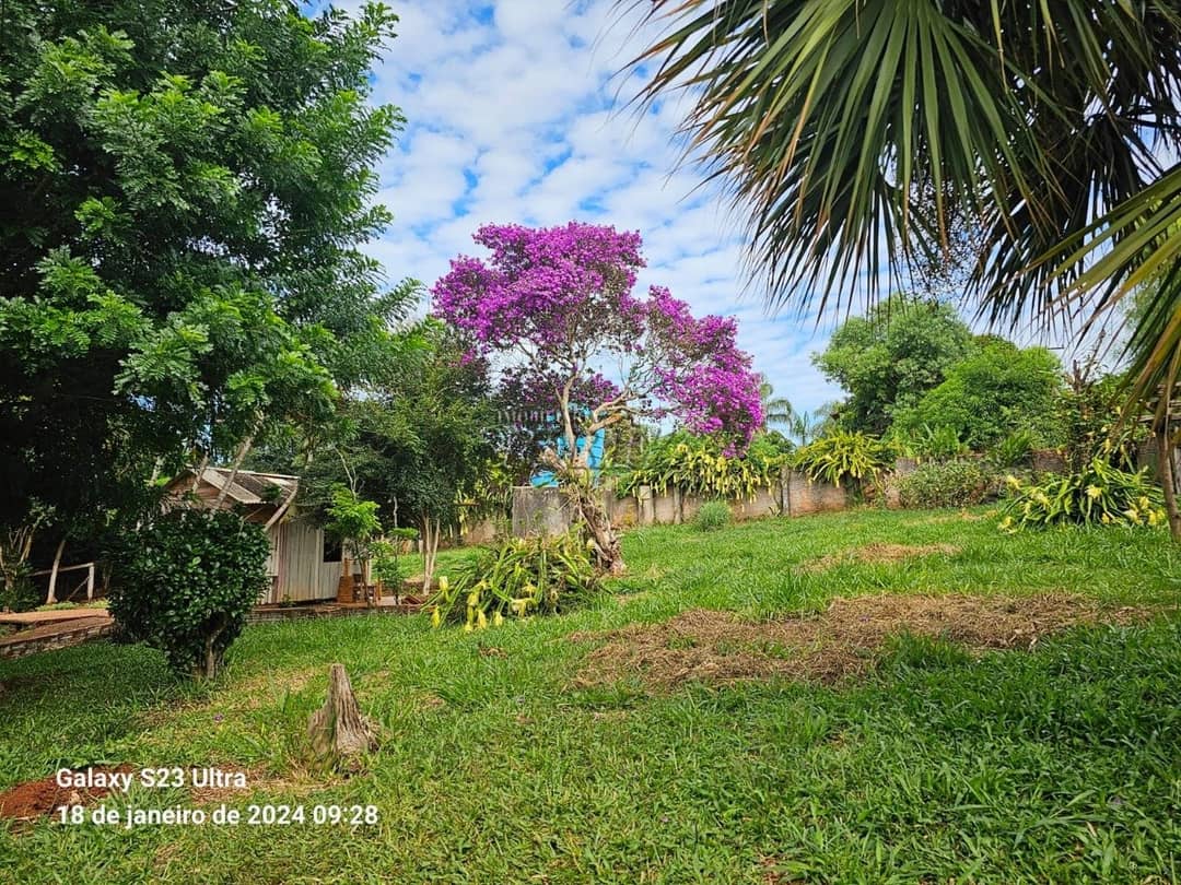 Terrenos no Chácara Fundeio - Rolândia à venda no Jardim Caviúna - Rolândia/PR - Foto 3