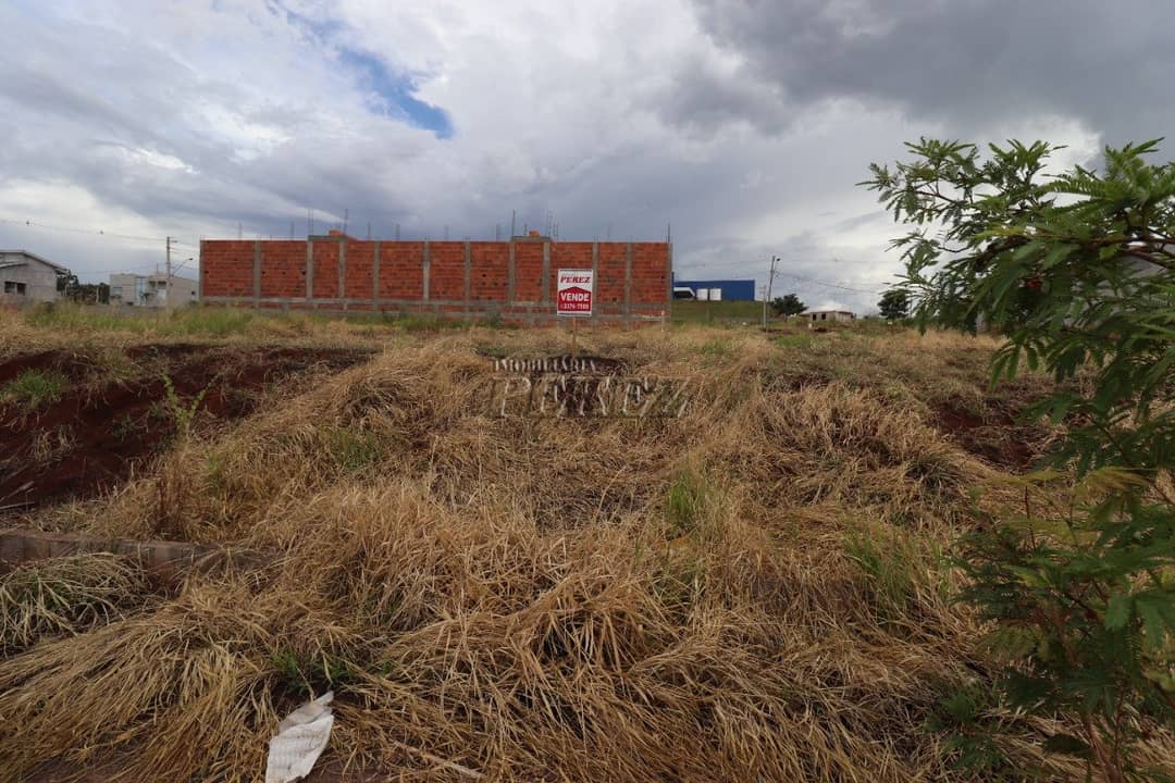 Terrenos à venda no Pioneiros - Londrina/PR - Foto 3