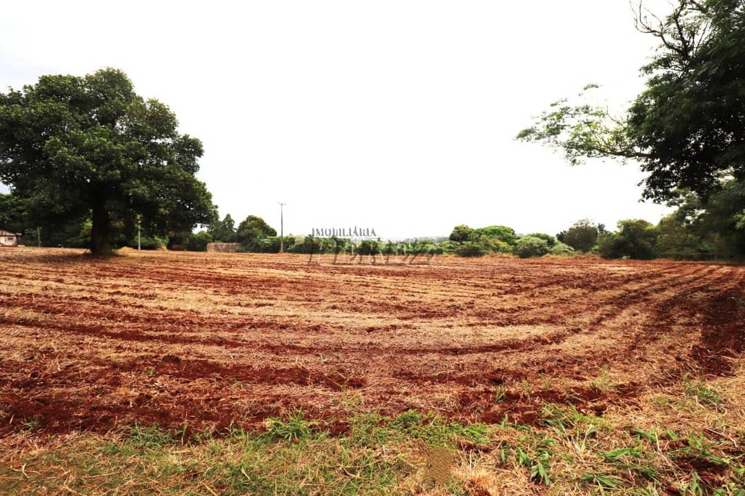 Terrenos à venda no Gleba Lindóia - Londrina/PR - Foto 4
