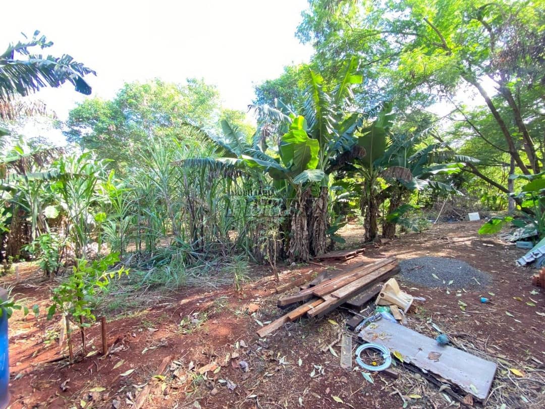 Terrenos à venda no Gleba Lindoia - Londrina/PR - Foto 1