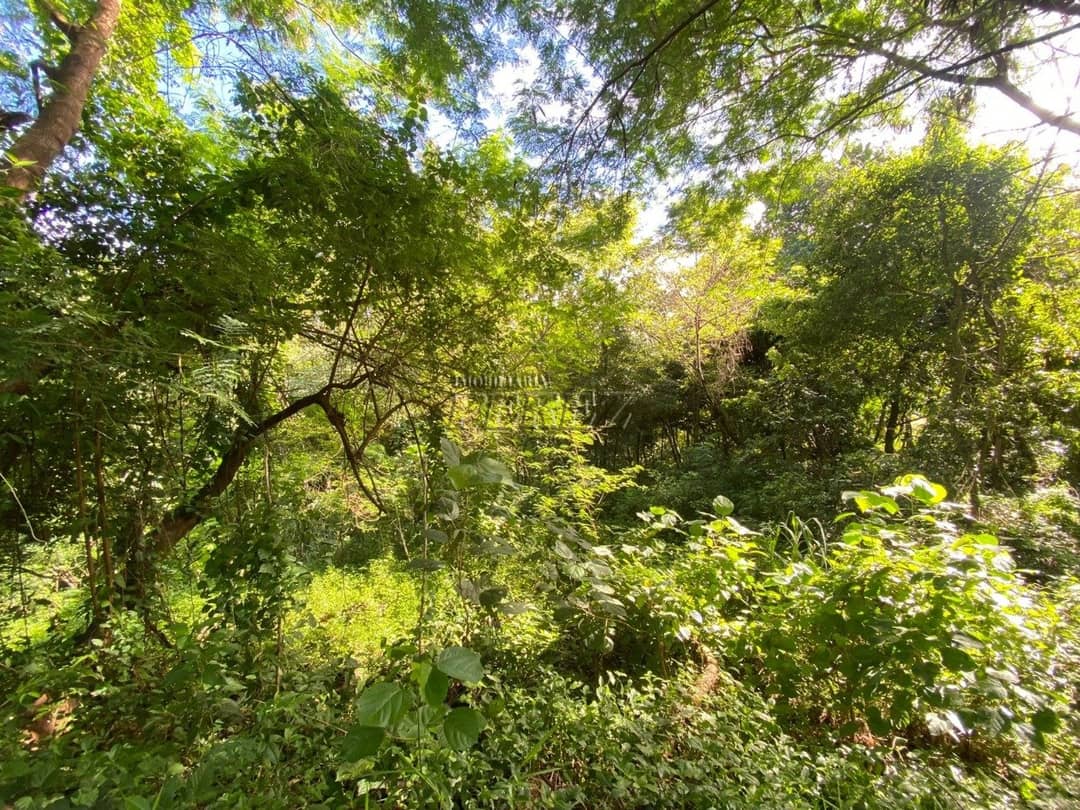 Terrenos à venda no Gleba Lindoia - Londrina/PR - Foto 2
