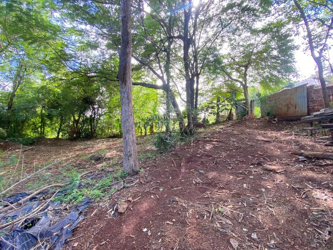 Terrenos à venda no Gleba Lindoia - Londrina/PR - Foto 3