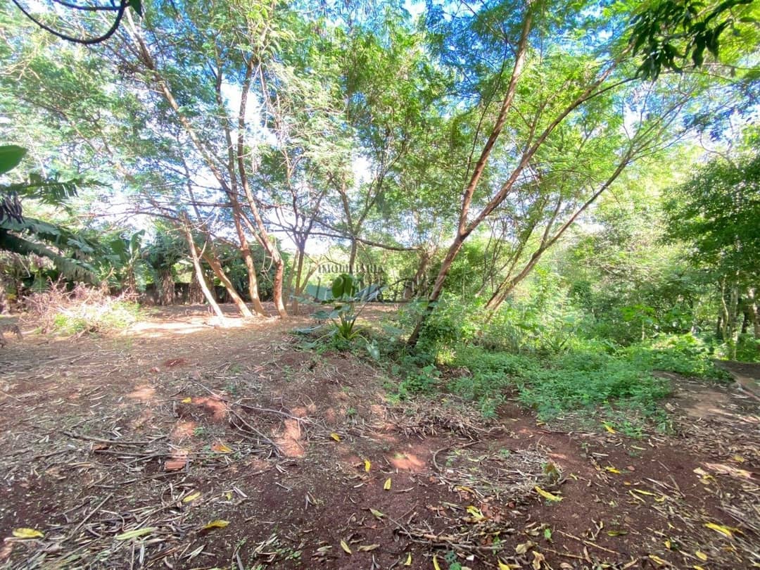 Terrenos à venda no Gleba Lindoia - Londrina/PR - Foto 4