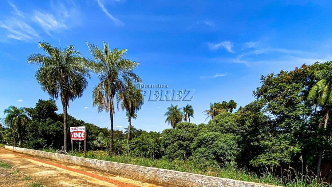 Terrenos à venda no Parque Jamaica - Londrina/PR - Foto 2