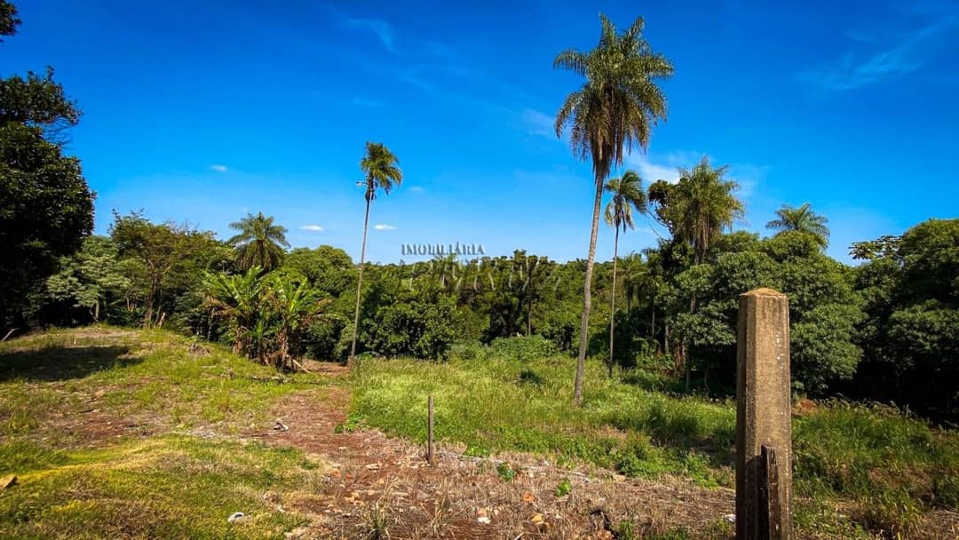 Terrenos à venda no Parque Jamaica - Londrina/PR - Foto 1