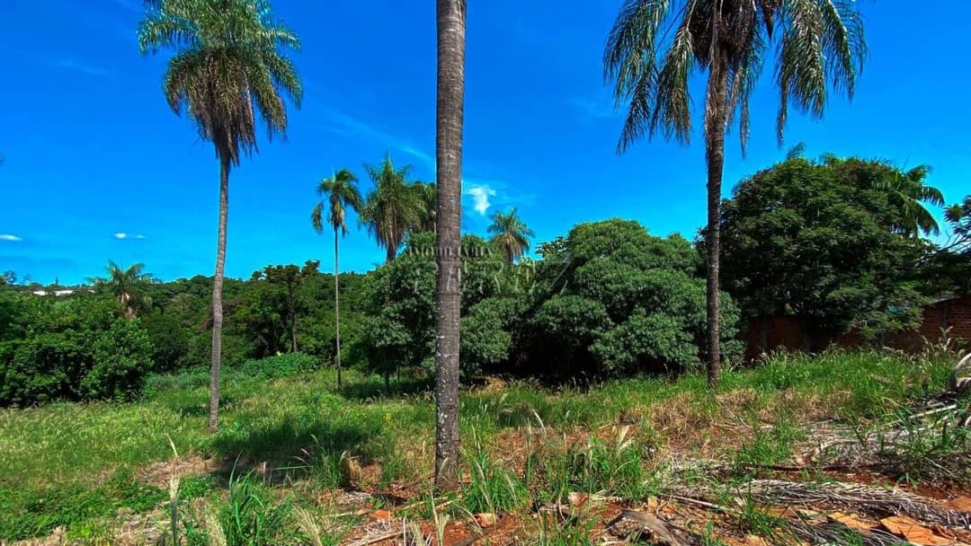 Terrenos à venda no Parque Jamaica - Londrina/PR - Foto 4