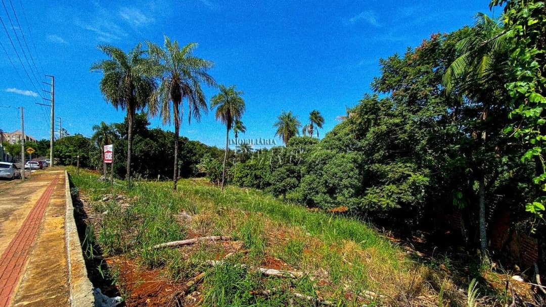Terrenos à venda no Parque Jamaica - Londrina/PR - Foto 3