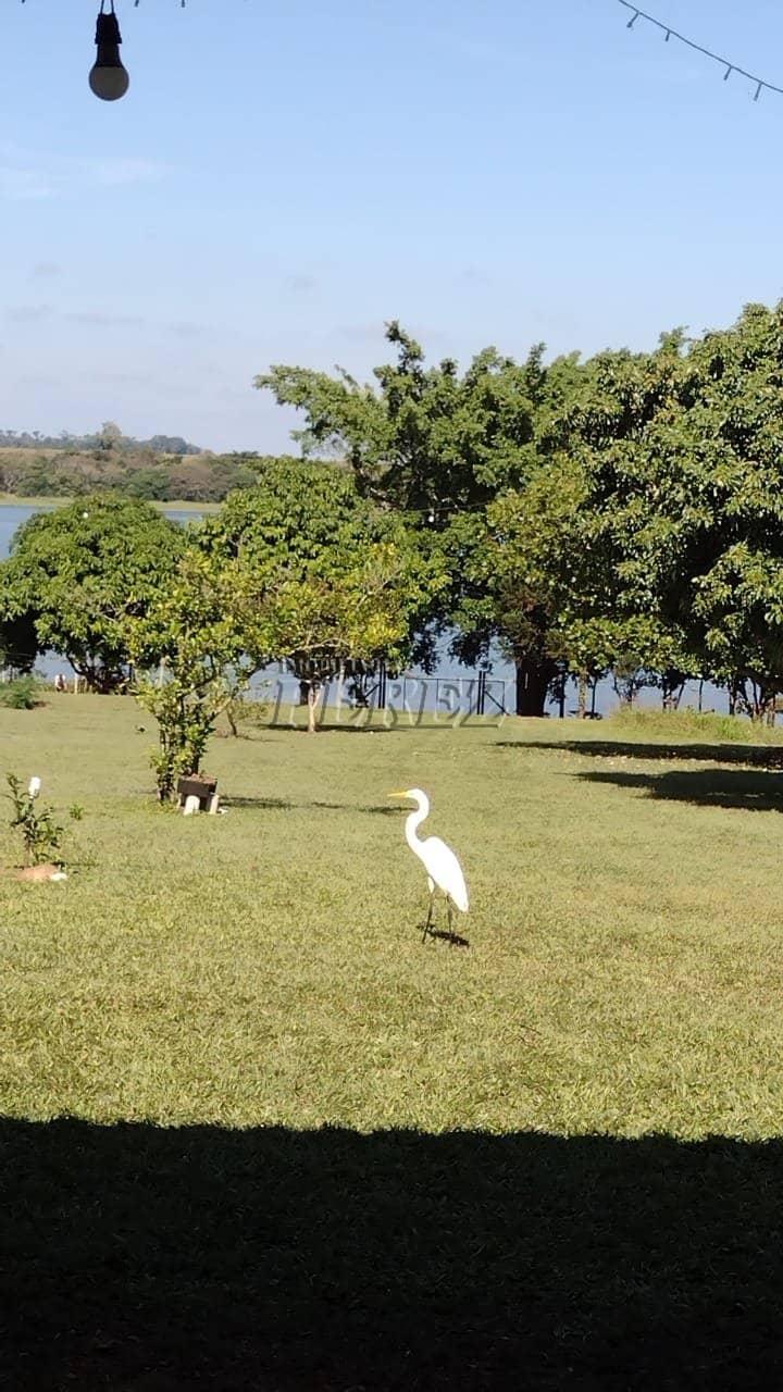 Imóveis Rurais, de 2 quartos, 60 m² à venda no Zona Rural - Primeiro De Maio/PR - Foto 0