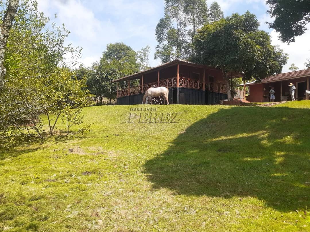 Imóveis Rurais, de 3 quartos à venda no Monjolinho - Ibiporã/PR - Foto 0