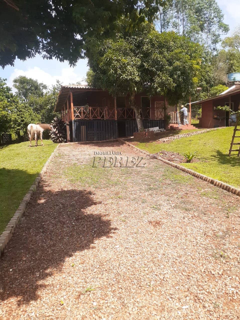 Imóveis Rurais, de 3 quartos à venda no Monjolinho - Ibiporã/PR - Foto 1