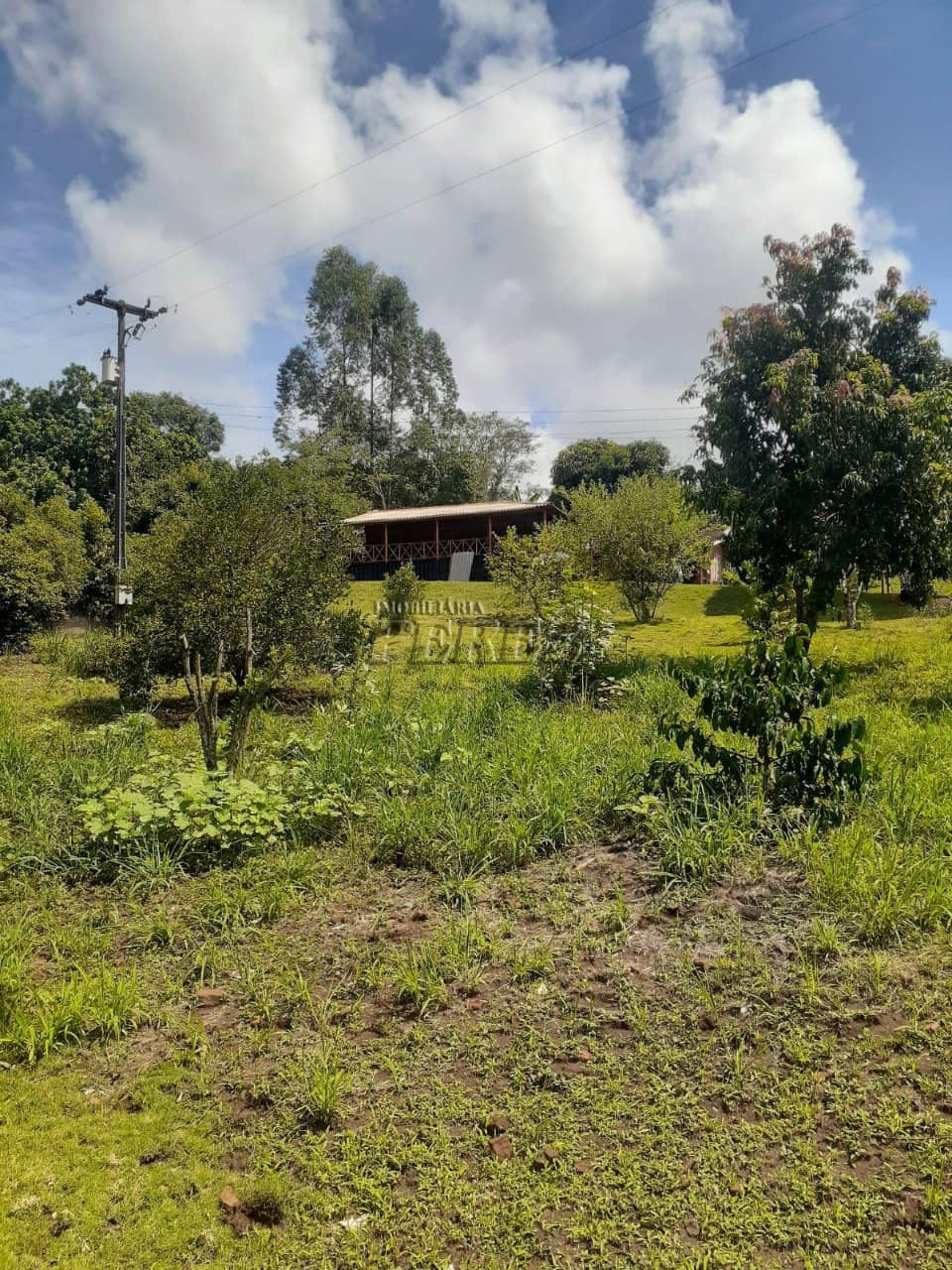 Imóveis Rurais, de 3 quartos à venda no Monjolinho - Ibiporã/PR - Foto 2