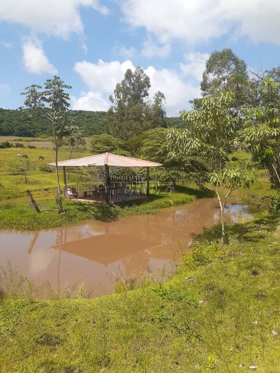 Imóveis Rurais, de 3 quartos à venda no Monjolinho - Ibiporã/PR - Foto 3