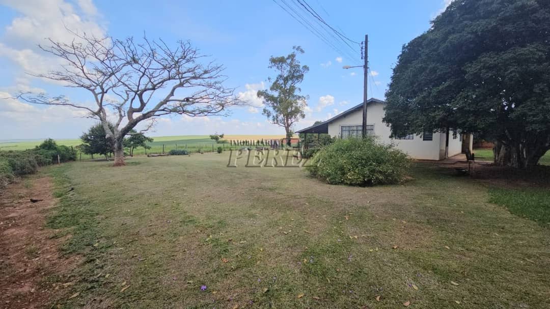 Imóveis Rurais no Fazenda Ingá Mirim, de 3 quartos, 70 m² à venda no Fazenda Prox. São Martinho - Prado Ferreira/PR - Foto 3
