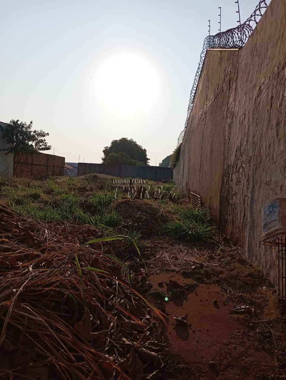 Terrenos à venda no Nova Olinda - Londrina/PR - Foto 2