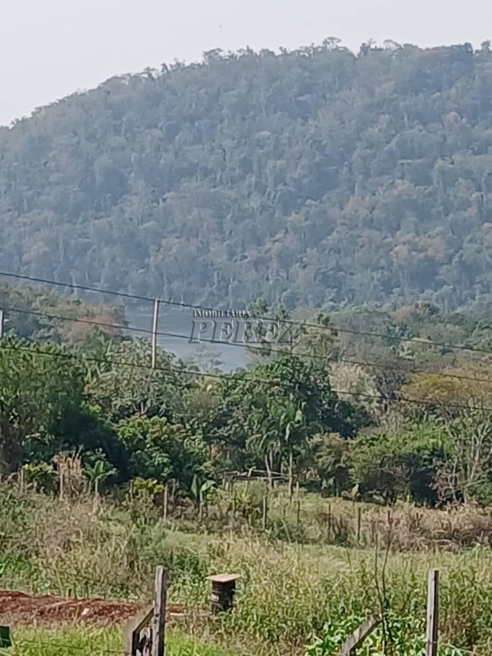Imóveis Rurais no Condomínio Recanto Dourado, de 2 quartos à venda no Barra Do Jacutinga - Ibiporã/PR - Foto 2