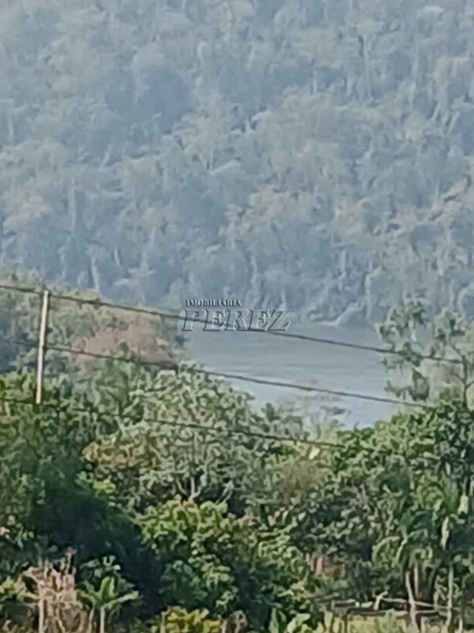 Imóveis Rurais no Condomínio Recanto Dourado, de 2 quartos à venda no Barra Do Jacutinga - Ibiporã/PR - Foto 4