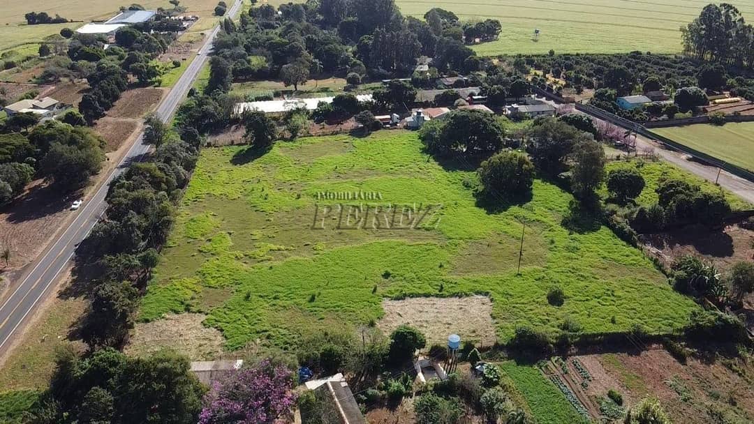 Terrenos à venda no Gleba Orle - Arapongas/PR - Foto 3