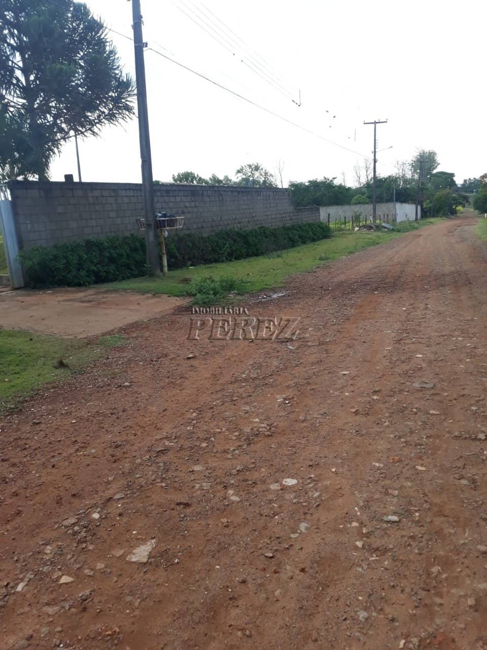 Imóveis Rurais, de 3 quartos, 120 m² à venda no Dom Pedro I - Londrina/PR - Foto 4
