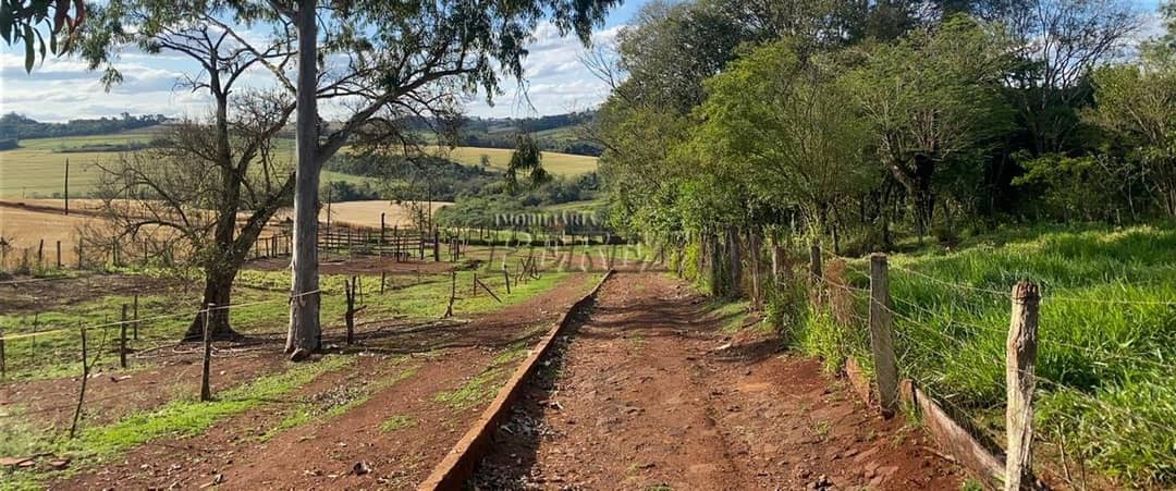 Imóveis Rurais, de 2 quartos, 110 m² à venda no Patrimonio Regina - Londrina/PR - Foto 3