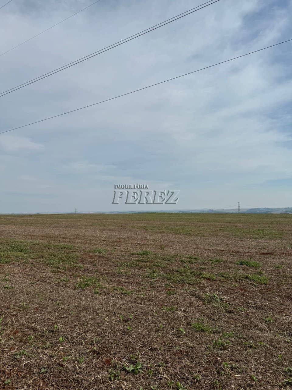 Imóveis Rurais à venda no Patrimônio São Luiz - São Luiz (Londrina)/PR - Foto 3
