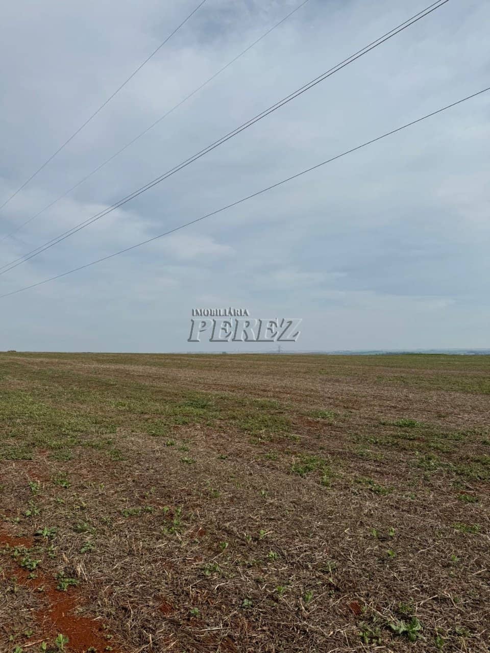 Imóveis Rurais à venda no Patrimônio São Luiz - São Luiz (Londrina)/PR - Foto 4