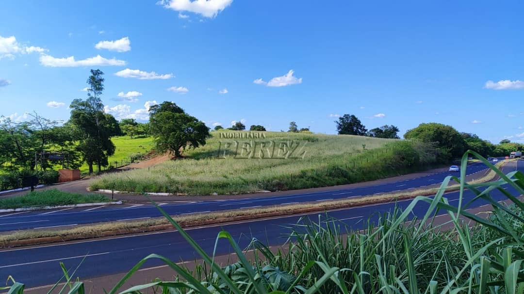 Imóveis Rurais à venda no Gleba Ibiporã - Ibiporã/PR - Foto 1