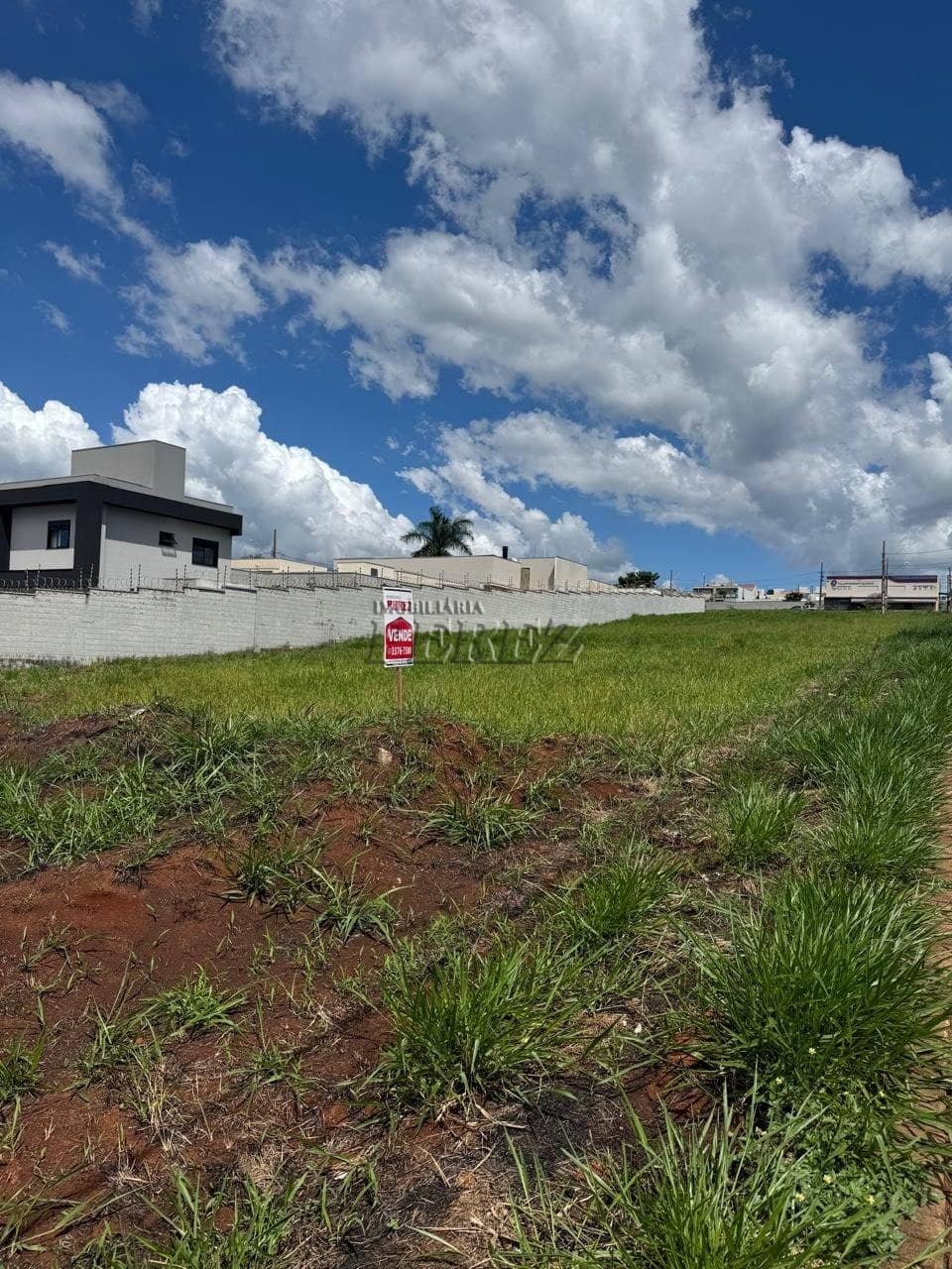 Terrenos à venda no Loteamento Morada Das Flores - Cambé/PR - Foto 0